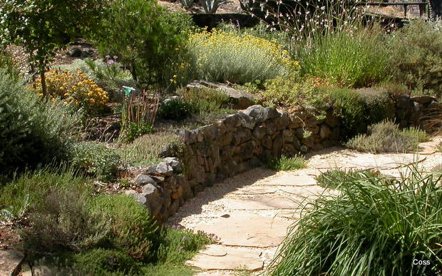 der13_32_635001816078713147