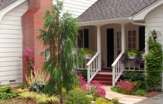 der1_32_634981223330335206