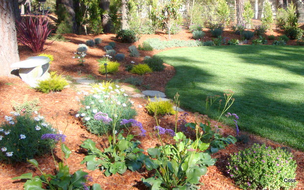 der3_32_634981972995324908