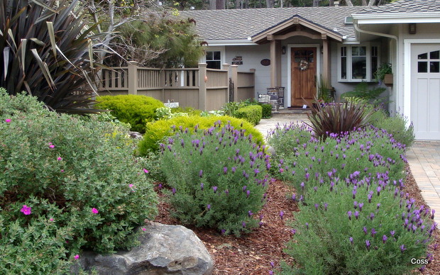 der4_32_634981960803103492