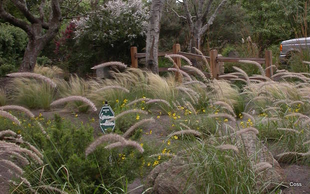 der6_32_634981972548540123