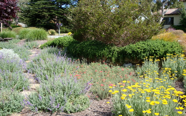 der8_32_634981972803756571