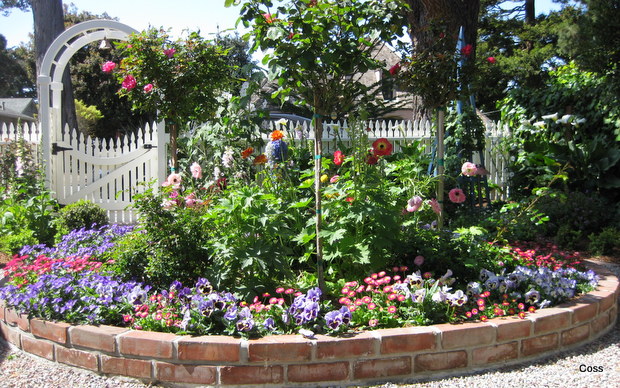 dr5_29_634981229482996013