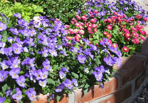 dr6_29_634981062384476507