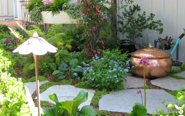 dr7_29_634981062197120178