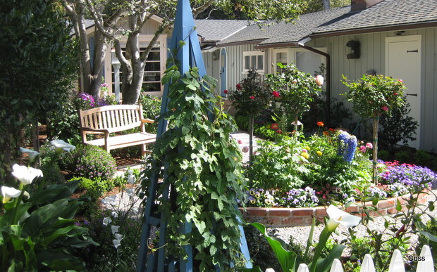 dr_29_634981062103208013