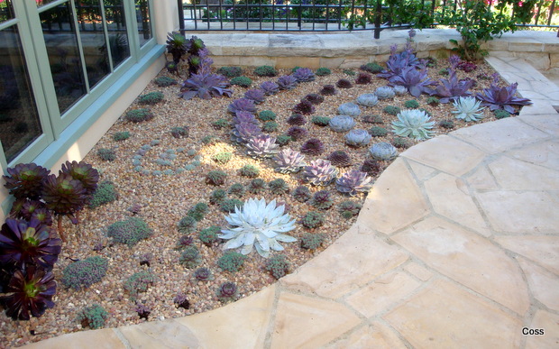 ent12_30_634981170877669073