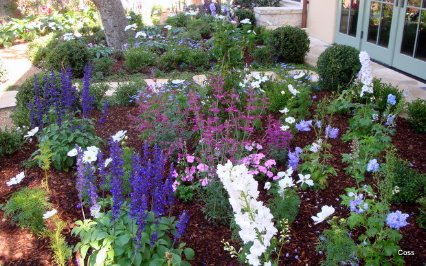 ent4_30_634981171339897885