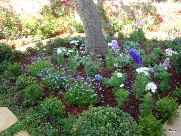 ent7_30_634981171288885796