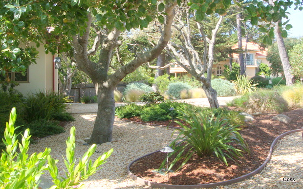 med6_33_634981246740868326