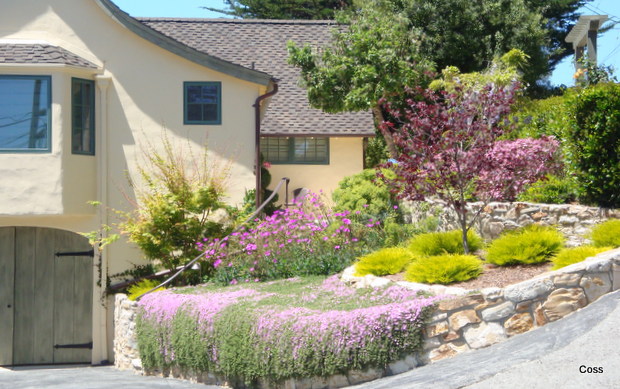 mur2_46_634981254156819352