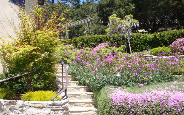 mur3_46_634981253871494851