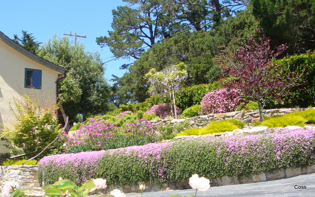 mur4_46_634981254211419448