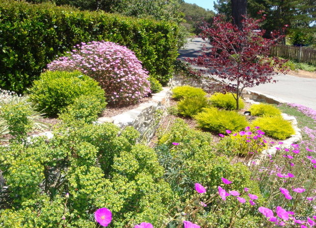 mur5_46_634981254089583234