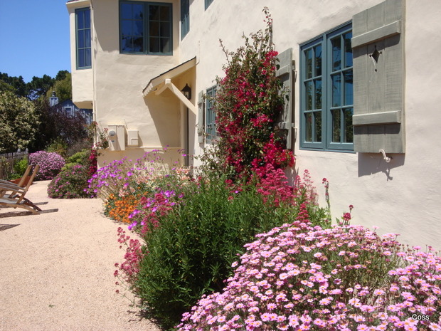 mur7_46_634981253925314946