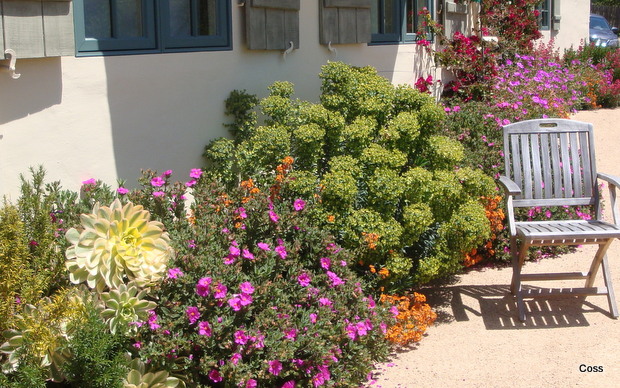 mur8_46_634981253979915041