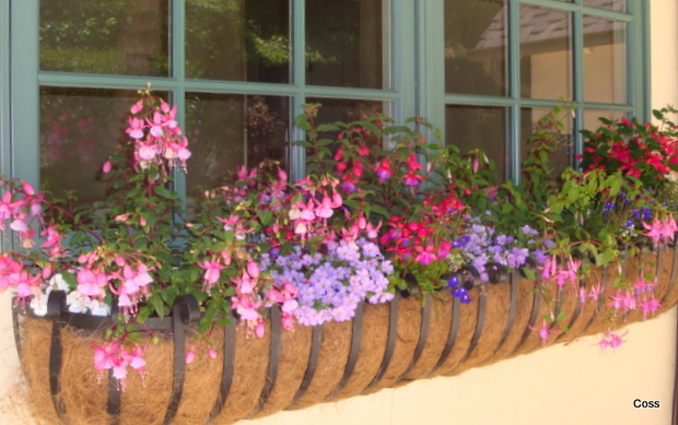 mur9_46_634981254042471151