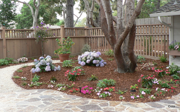 peb7_31_634981048200755593