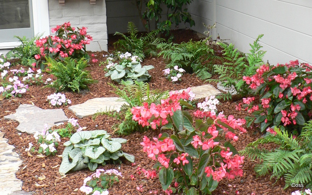 peb9_31_634981048272203719