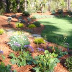 der3_32_634981972995324908