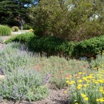 der8_32_634981972803756571