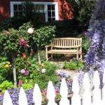 dr10_29_634981062509120726