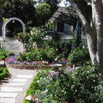 dr4_29_634981062280112324