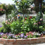 dr5_29_634981229482996013