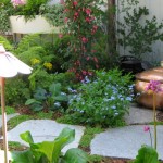 dr7_29_634981062197120178