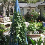 dr_29_634981062103208013