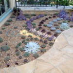 ent12_30_634981170877669073