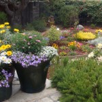 home_26_634981994028247852