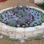 home_26_634981994323556370