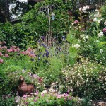 home_26_634982002758189186