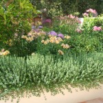 med11_33_634981246576444037