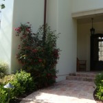 med4_33_634981237334343803