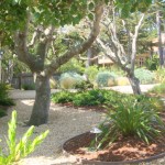 med6_33_634981246740868326