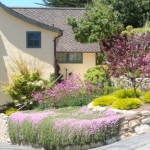 mur2_46_634981254156819352