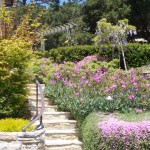 mur3_46_634981253871494851