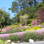 mur4_46_634981254211419448