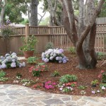 peb7_31_634981048200755593