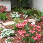 peb9_31_634981048272203719