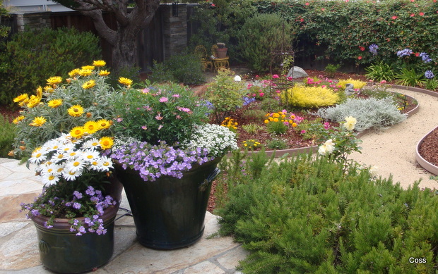 home_26_634981994028247852