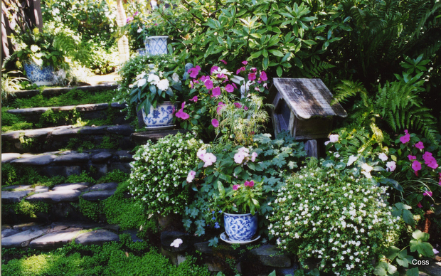 home_26_634981994205776163