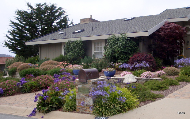 home_26_634981994261468261