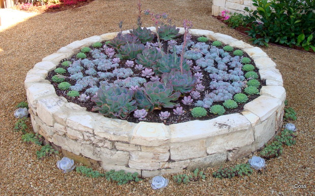 home_26_634981994323556370