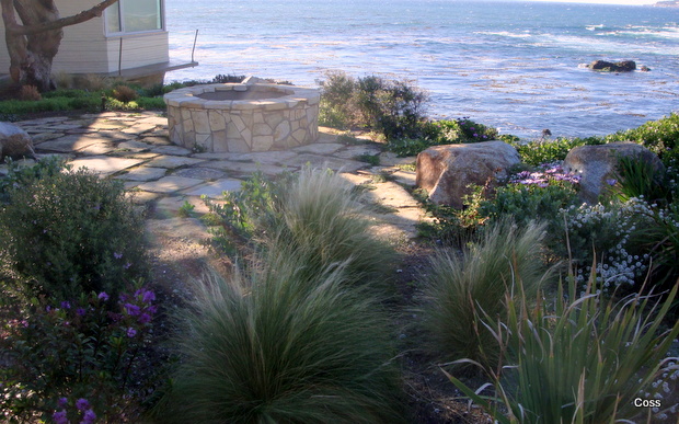 home_26_634982002407188569