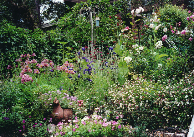 home_26_634982002758189186